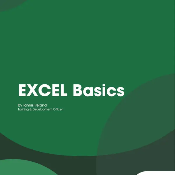 Excel Basics